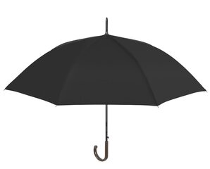 Skėtis Perletti 12130 kaina ir informacija | Moteriški skėčiai | pigu.lt