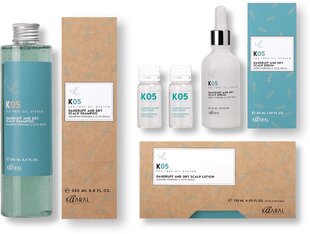 К05 трихологический шампунь для профилактики сухой кожи головы и перхоти (1000 мл) цена и информация | Шампуни | pigu.lt