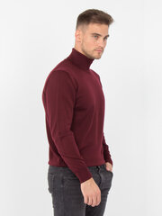 Megztinis vyrams Storgio 563904467, raudonas цена и информация | Мужские свитера | pigu.lt