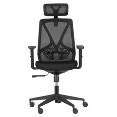Комплект из 2-х стульев Wood Garden Carmen 7567, черного цвета цена и информация | Офисные кресла | pigu.lt