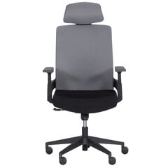 2-ių biuro kėdžių komplektas Wood Garden Carmen 7544, juodas/pilkas kaina ir informacija | Biuro kėdės | pigu.lt