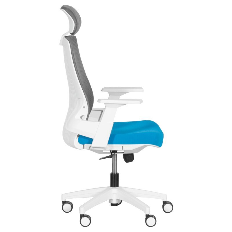2-ių biuro kėdžių komplektas Wood Garden Carmen 7546, mėlynas/pilkas kaina ir informacija | Biuro kėdės | pigu.lt