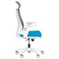 2-ių biuro kėdžių komplektas Wood Garden Carmen 7546, mėlynas/pilkas kaina ir informacija | Biuro kėdės | pigu.lt