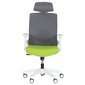 2-ių biuro kėdžių komplektas Wood Garden Carmen 7546, žalias/pilkas kaina ir informacija | Biuro kėdės | pigu.lt