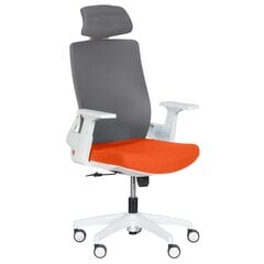 2-ių biuro kėdžių komplektas Wood Garden Carmen 7546, oranžinis/pilkas kaina ir informacija | Biuro kėdės | pigu.lt