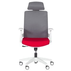 2-ių biuro kėdžių komplektas Wood Garden Carmen 7546, raudonas/pilkas kaina ir informacija | Biuro kėdės | pigu.lt