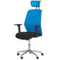 Kėdė Wood Garden Carmen 7535-1, juoda/mėlyna kaina ir informacija | Biuro kėdės | pigu.lt