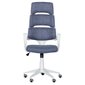 Biuro kėdė Wood Garden Carmen 7521-2, mėlyna kaina ir informacija | Biuro kėdės | pigu.lt