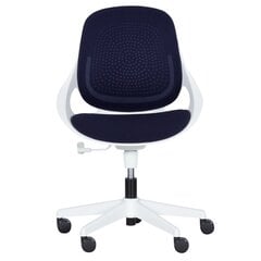 2-ių vaikiškų kėdžių komplektas Wood Garden Carmen 6219, mėlynas kaina ir informacija | Biuro kėdės | pigu.lt