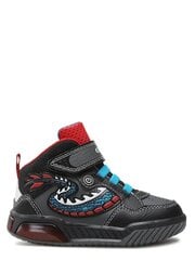 Кроссовки для мальчиков Geox 520672420, серые цена и информация | Детская спортивная обувь | pigu.lt