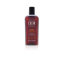 Мужской шампунь American Crew Daily Cleansing Shampoo, 250 мл цена и информация | Шампуни | pigu.lt
