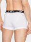 Trumpikės vyrams Emporio Armani Nero Fuoco Bianco 545665887, įvairių spalvų, 3vnt. цена и информация | Trumpikės | pigu.lt