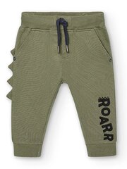 BOBOLI Fleece Khaki 520238040 цена и информация | Штаны для мальчиков | pigu.lt