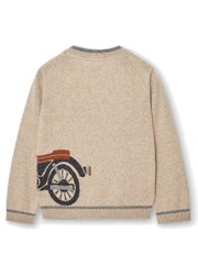 Booboli megztinis berniukams 520238572, smėlio spalvos цена и информация | Свитеры, жилетки, пиджаки для мальчиков | pigu.lt
