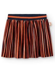BOBOLI Pleated Velvet Stripes 520238301 цена и информация | Юбки для девочек | pigu.lt