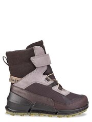 ECCO Urban Mini Gtx (22-30) 573038584 цена и информация | Детские сапоги | pigu.lt