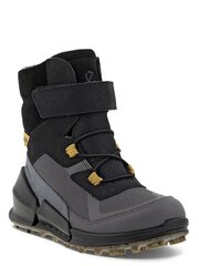 ECCO Biom K2 Gtx (30-35) Multicolor/black 573038638 цена и информация | Детские сапоги | pigu.lt