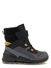 ECCO Biom K2 Gtx (30-35) Multicolor/black 573038638 цена и информация | Детские сапоги | pigu.lt