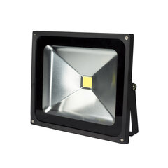 Светодиодный точечный светильник Volteno 50Вт 6000К цена и информация | Фонарики, прожекторы | pigu.lt