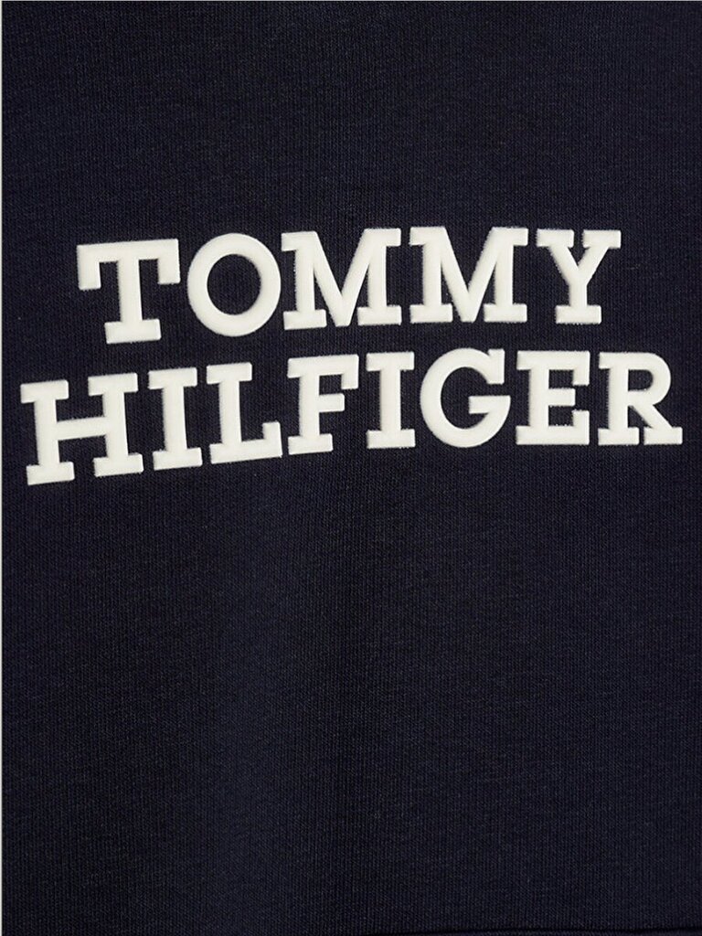 Tommy Hilfiger džemperis berniukams, mėlynos kaina ir informacija | Megztiniai, bluzonai, švarkai berniukams | pigu.lt