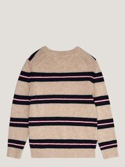 TOMMY HILFIGER Striped Sweater Kb0Kb08502G4Z Merino Melange/global Stripes 540125328 цена и информация | Свитеры, жилетки, пиджаки для мальчиков | pigu.lt