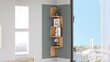 Sieninė lentyna Asir, 22x117,2x22cm, ruda kaina ir informacija | Lentynos | pigu.lt