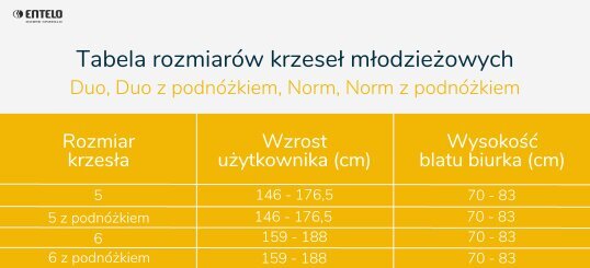 Vaikiška kėdė Entelo Norm Monolith, rožinė kaina ir informacija | Biuro kėdės | pigu.lt