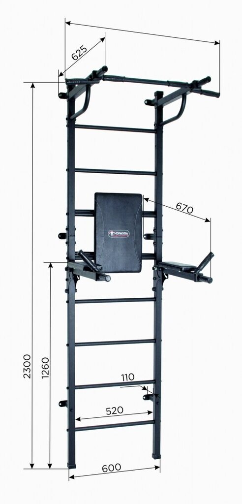 Sporto kompleksas Start, 230x61cm, pilkas kaina ir informacija | Gimnastikos sienelės | pigu.lt