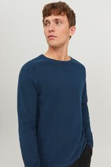 Свитер JACK & JONES 12248917PACIFICCOAST-S цена и информация | Мужской джемпер | pigu.lt