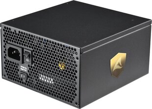 Sharkoon Rebel P30 Gold kaina ir informacija | Maitinimo šaltiniai (PSU) | pigu.lt