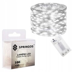 Springos sidabrinė girlianda 10,2 m 100 LED цена и информация | Гирлянды | pigu.lt