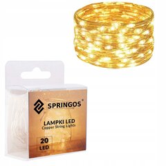 Springos auksinė girlianda 2,2 m 20 LED цена и информация | Гирлянды | pigu.lt