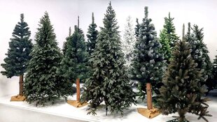 Dirbtinė kalėdų eglutė Springos, 200 cm kaina ir informacija | Eglutės, vainikai, stovai | pigu.lt