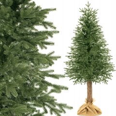Dirbtinė kalėdų eglutė su kamienu Springos, 220 cm kaina ir informacija | Eglutės, vainikai, stovai | pigu.lt
