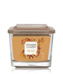 Yankee Candle Amber & Acorn 96 g kaina ir informacija | Žvakės, Žvakidės | pigu.lt