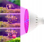 Berimax 9,5 W kaina ir informacija | Daigyklos, lempos augalams | pigu.lt