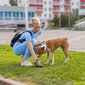 Vienkartinės šunų palutės Berimax 60x60 cm, 50 vnt. + maišeliai 30 vnt. kaina ir informacija | Priežiūros priemonės gyvūnams | pigu.lt