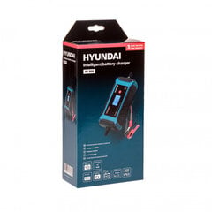 Автомобильное зарядноеустройство Hyunday HY 810 цена и информация | Зарядные устройства для аккумуляторов | pigu.lt