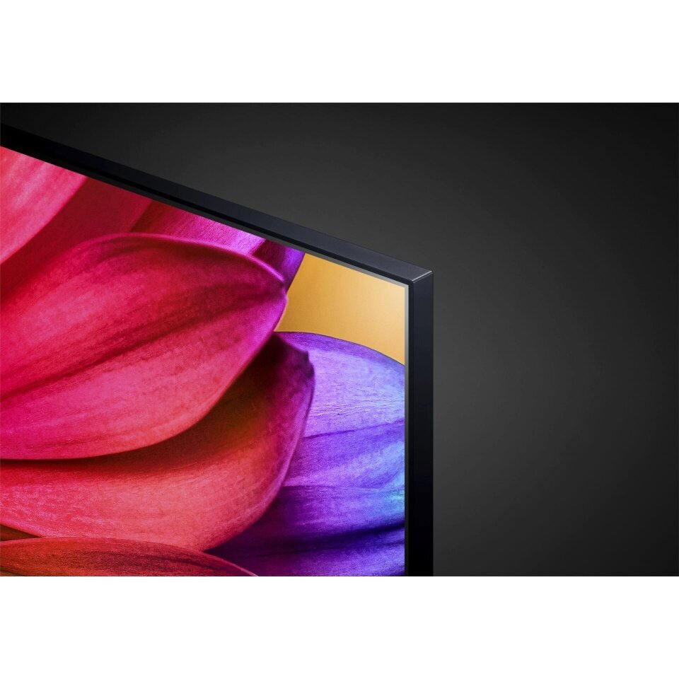 LG 55UR80006LJ.AEUD цена и информация | Televizoriai | pigu.lt