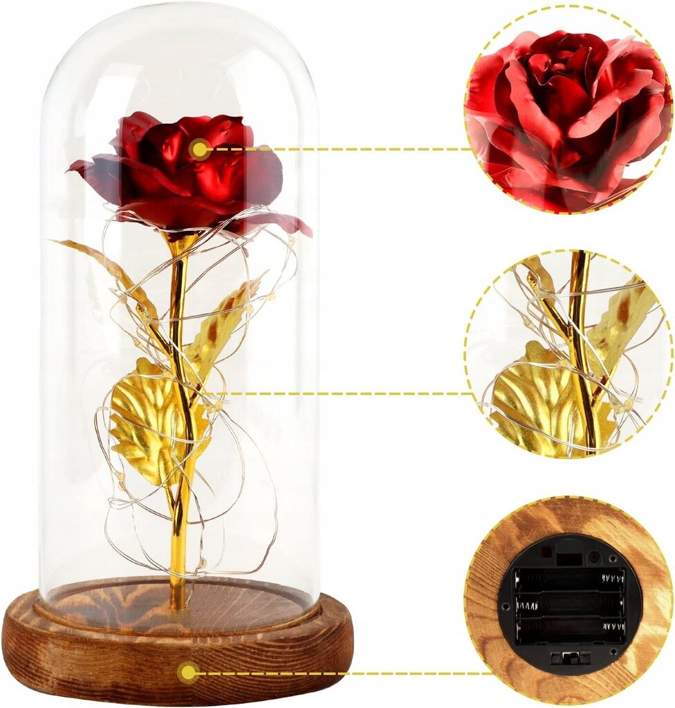 Stabilizuota rožė WR4 kaina ir informacija | Miegančios rožės, stabilizuoti augalai | pigu.lt
