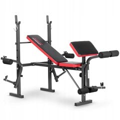 Тренировочная скамейка Neo-Sport NS-200 цена и информация | Тренировочные скамьи | pigu.lt
