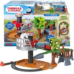 Nuotykių rinkinys Tom and Friends Safari su varomu lokomotyvu Fisher Price kaina ir informacija | Žaislai berniukams | pigu.lt