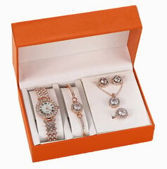Moteriškas papuošalų rinkinys elegantiškoje dėžutėje, 5 dalių kaina ir informacija | Moteriški laikrodžiai | pigu.lt