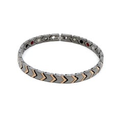 Магнитный браслет из серебра и золота Succedo цена и информация | Женские браслеты | pigu.lt