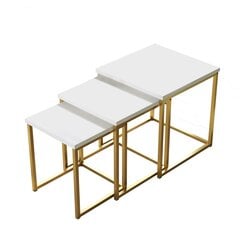 Sofos staliukas Asir, 40x41,8x40cm, baltas/auksinis kaina ir informacija | Kavos staliukai | pigu.lt