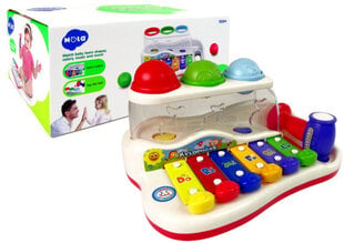 Edukacinis ksilofonas vaikams цена и информация | Игрушки для малышей | pigu.lt
