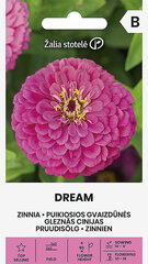 Цинния DREAM, сиреневая цена и информация | Семена цветов | pigu.lt