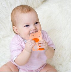 Barškučių - kramtukų rinkinys kūdikiui, 5 vnt. kaina ir informacija | Žaislai kūdikiams | pigu.lt