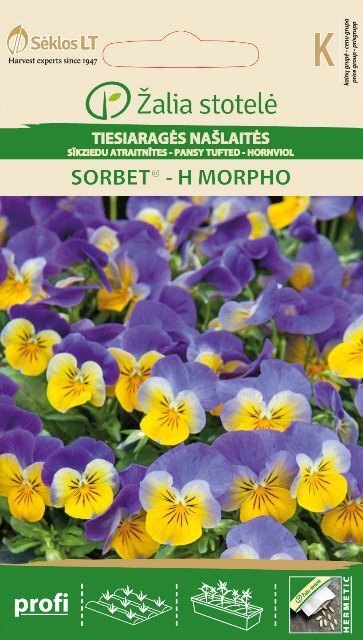 TIESIARAGĖS NAŠLAITĖS SORBET® - H MORPHO kaina ir informacija | Gėlių sėklos | pigu.lt