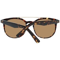 Vyriški akiniai nuo saulės Web Eyewear ruda kaina ir informacija | Akiniai nuo saulės moterims | pigu.lt